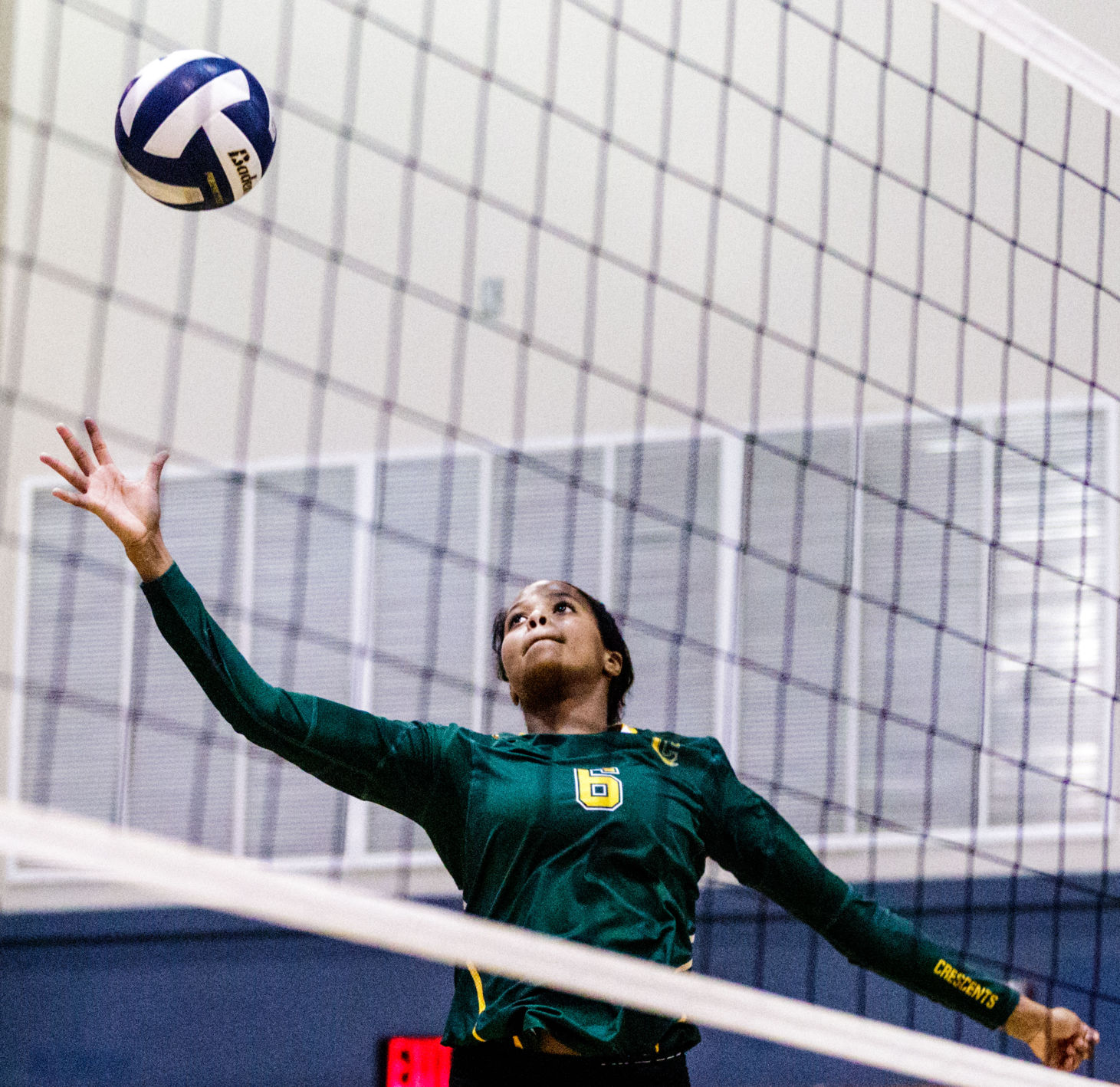 br.divisionIIIvolleyball.111117.021.JPG